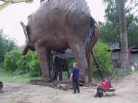 mammoth-06.JPG (64379 bytes)